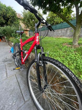 Bicicleta de montaña