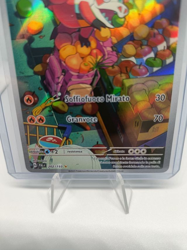 Crocalor NM ITA (Pal 202)