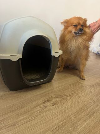 Casita perro marrón beige