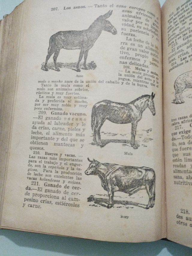 Enciclopedia Ciclico-Pedagógica (Grado Medio)