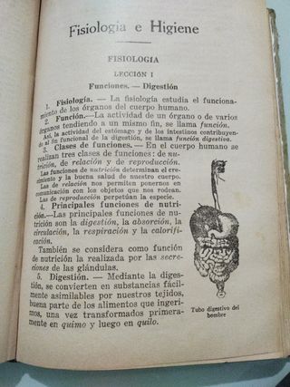 Enciclopedia Ciclico-Pedagógica (Grado Medio)
