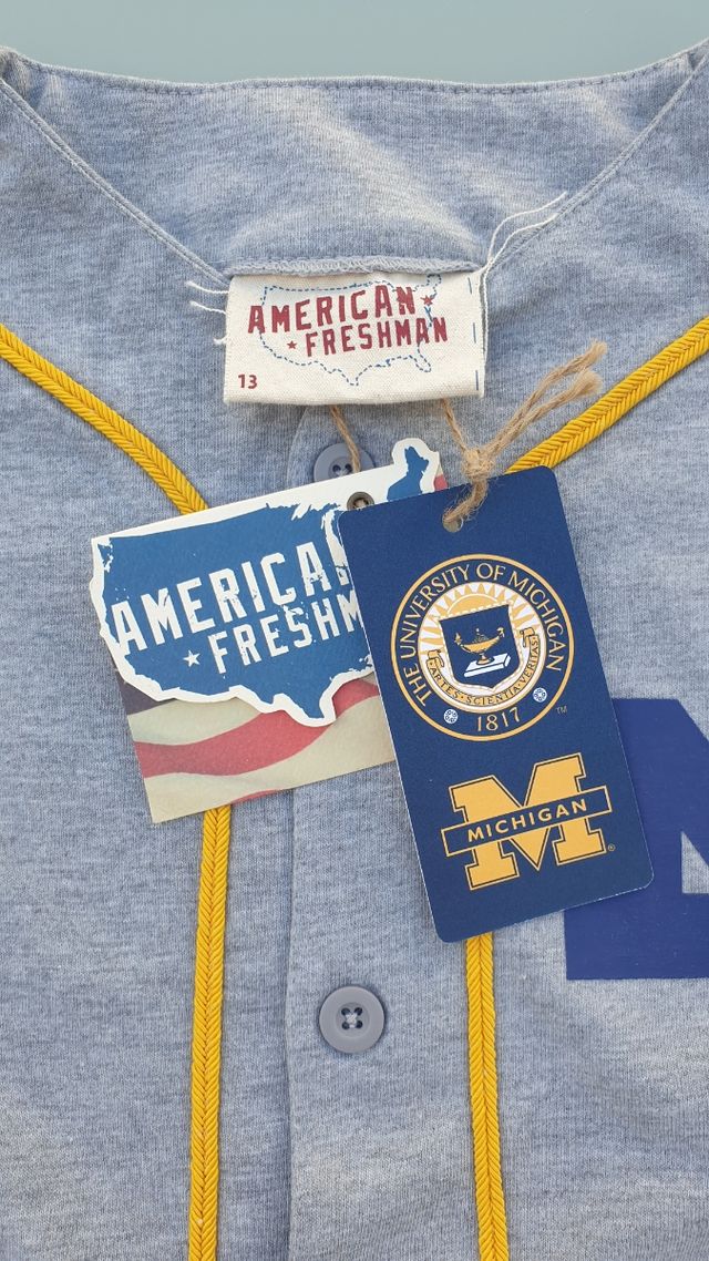 Camiseta béisbol Michigan - Gris