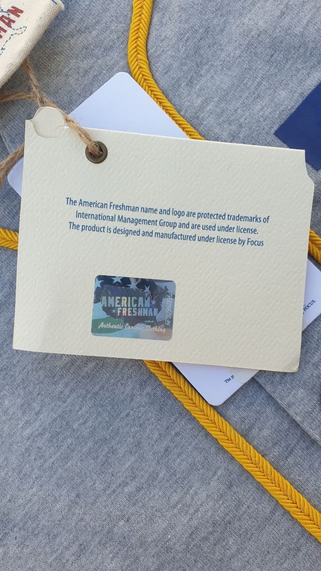 Camiseta béisbol Michigan - Gris