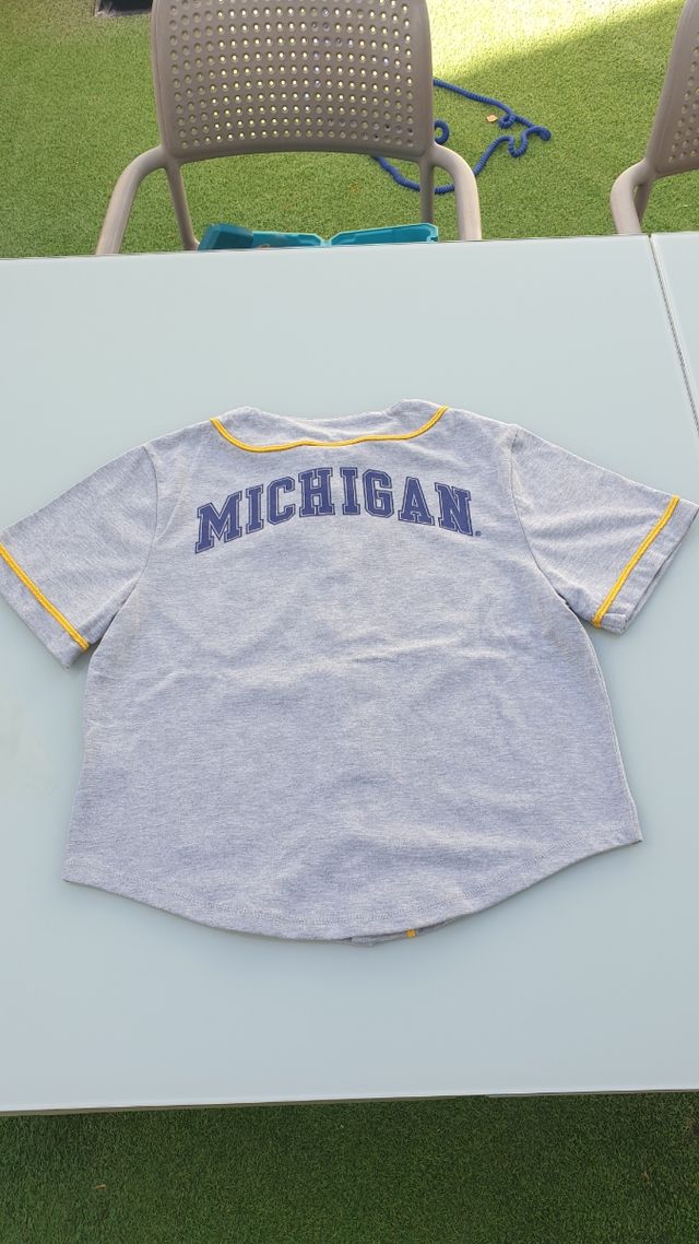 Camiseta béisbol Michigan - Gris
