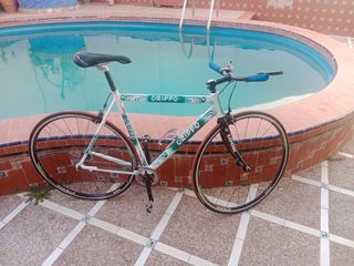 Bicicleta Oríppo Carbono