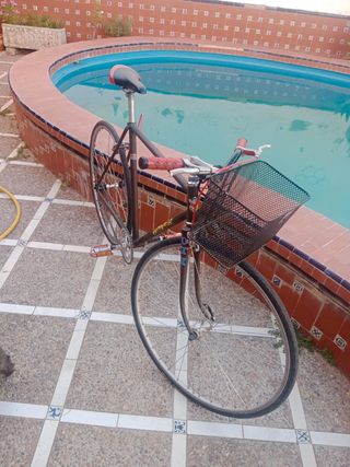 Bicicleta Clásica Macario