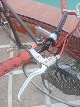 Bicicleta Clásica Macario
