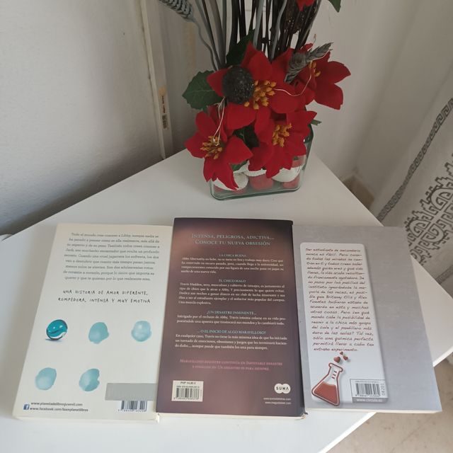 Libros literatura juvenil y literatura romantica