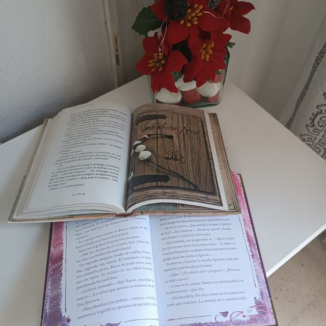 Libros literatura juvenil y literatura romantica