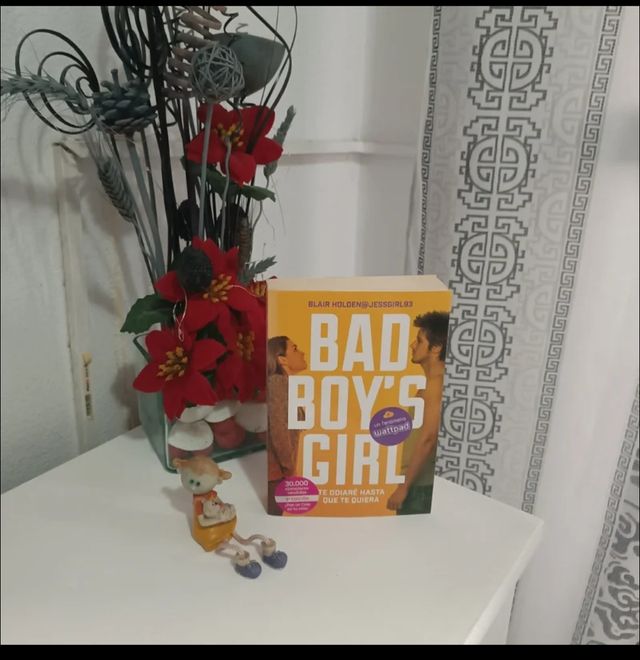 Libros literatura juvenil y literatura romantica