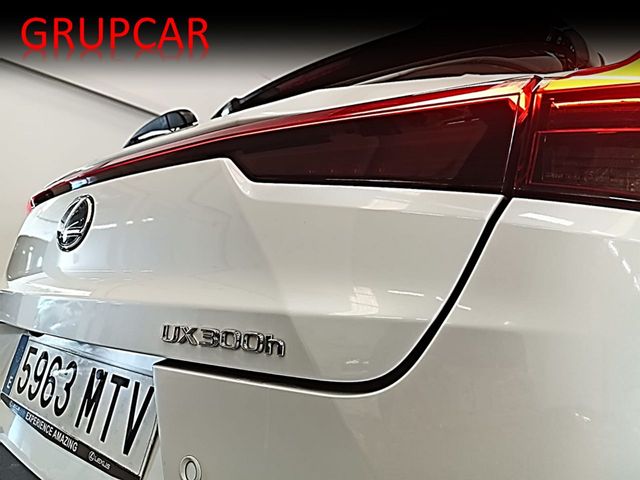 Lexus UX 300 h