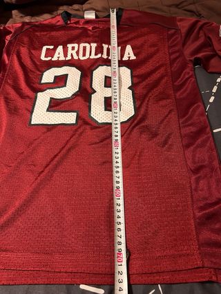 Camiseta Carolina Gamecocks #28