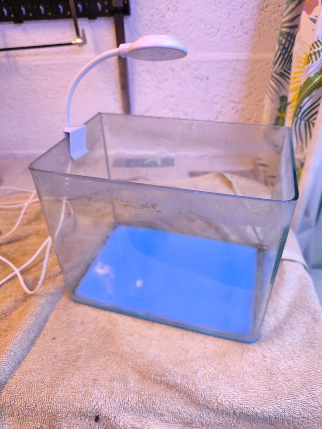 Acuario 5L con luz LED