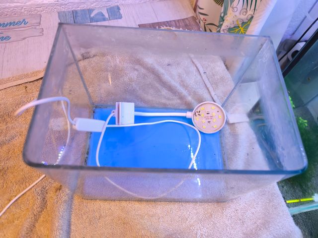 Acuario 5L con luz LED