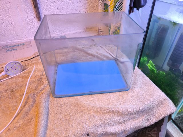 Acuario 5L con luz LED