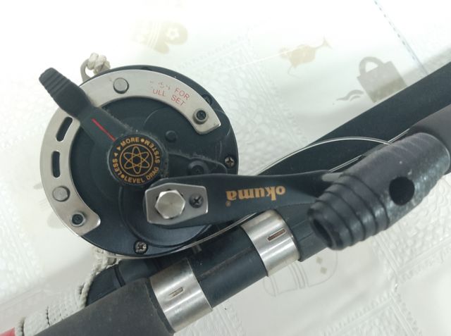 Cañas y carrete de embarcación