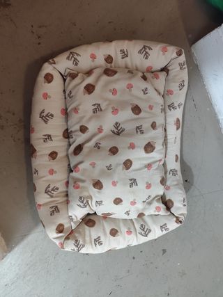 Cama perro - Beige y marrón