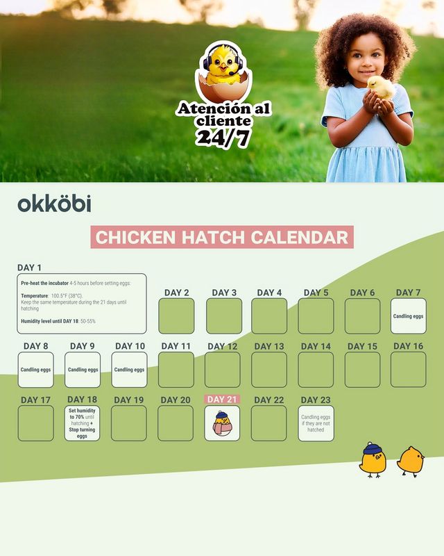 ★ Incubadora de huevos Okköbi M12