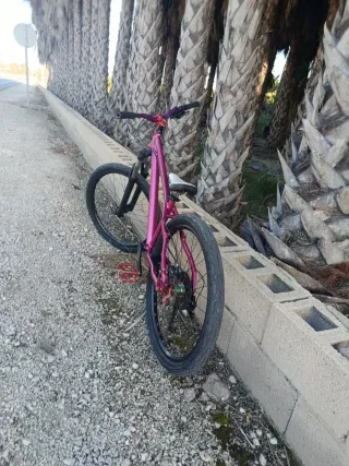 Bicicleta Stunt - Color Morado