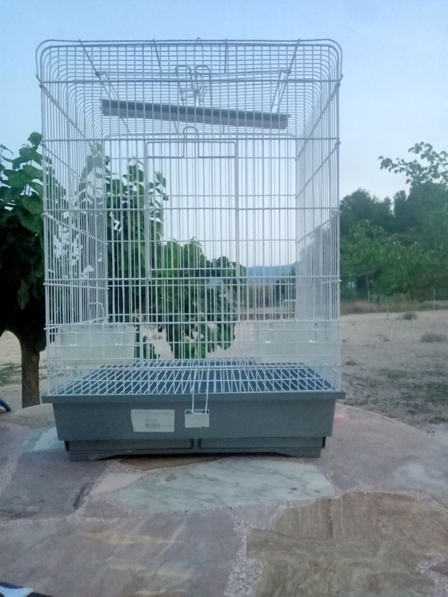 Jaula pajaros - Blanca y Gris