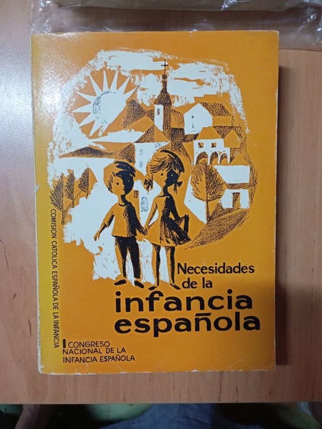 Necesidades de la infancia española