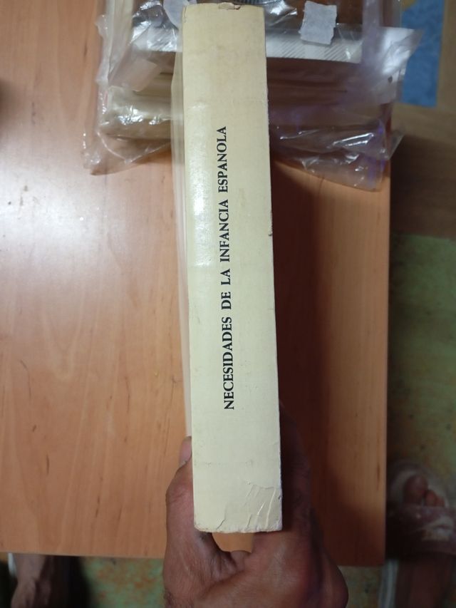 Necesidades de la infancia española