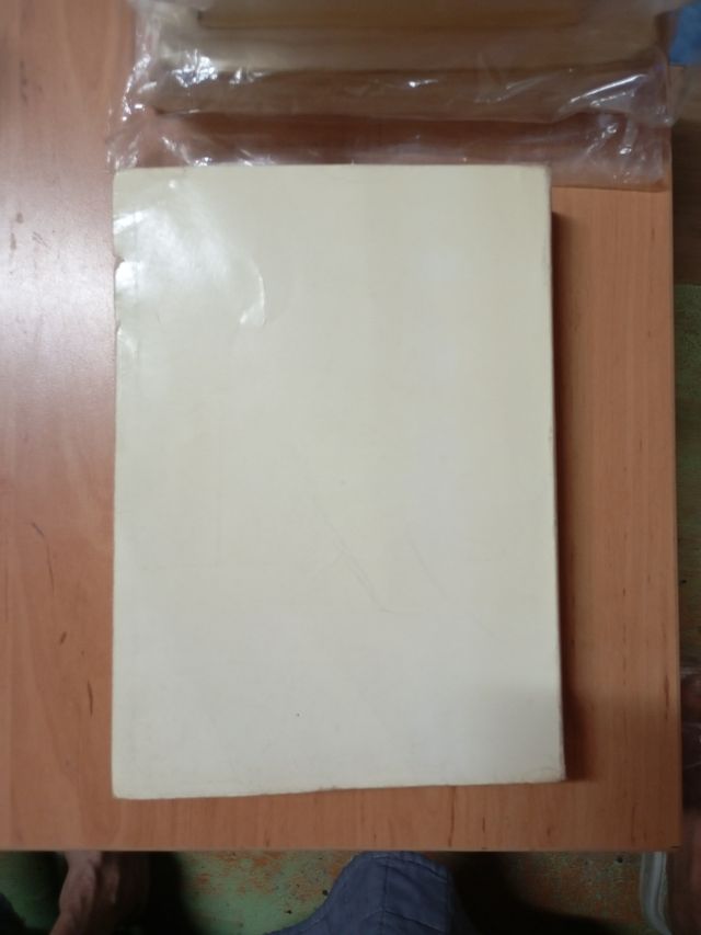 Necesidades de la infancia española