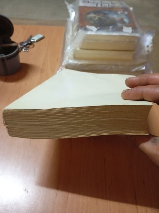 Necesidades de la infancia española