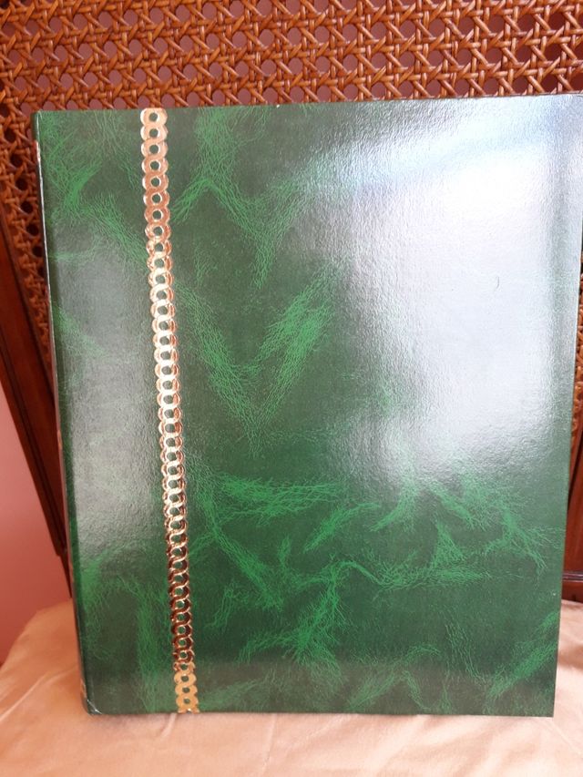 Álbum para fotos, de anillas.