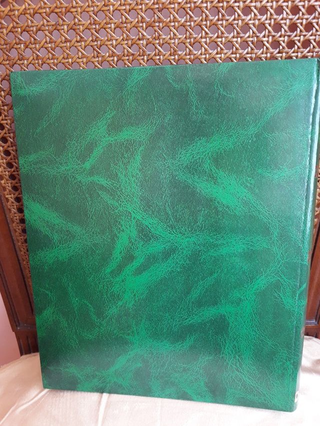 Álbum para fotos, de anillas.