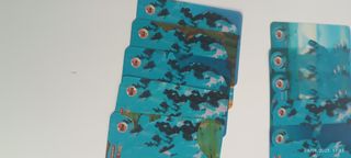 Carte Dragon Ball Z - 17 pezzi