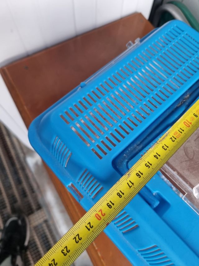 Vaschetta pesci blu trasparente