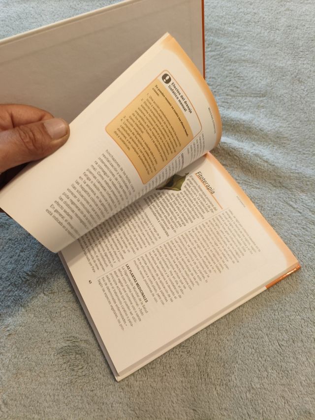 Guia practica de las medicinas alternativas