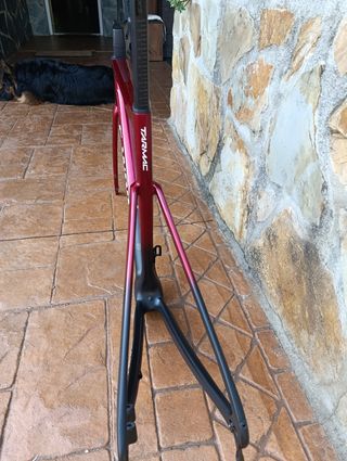 Cuadro Specialized Tarmac SL7 