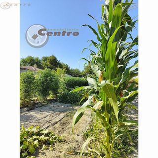 Casa rural en venta en San Pablo - Santa Teresa en Albacete