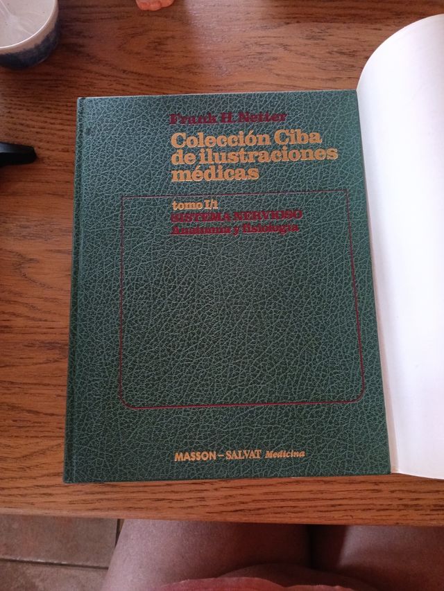 tomo 1/1: sistema nervioso: anatomia y fisiologia
