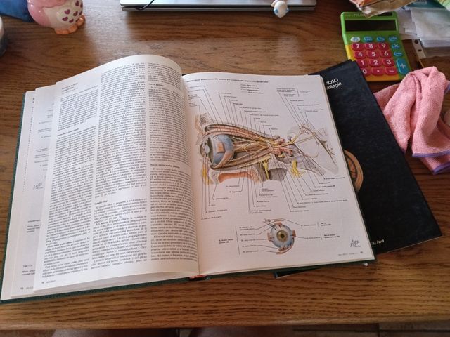 tomo 1/1: sistema nervioso: anatomia y fisiologia
