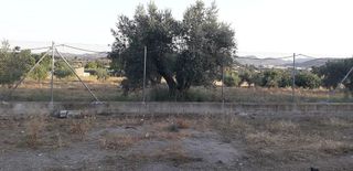 Casa rural en venta en Cehegín