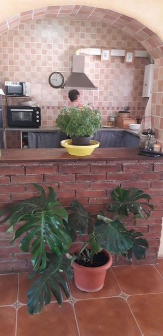 Casa rural en venta en Cehegín