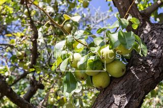 Chalet en venta en Sant Celoni