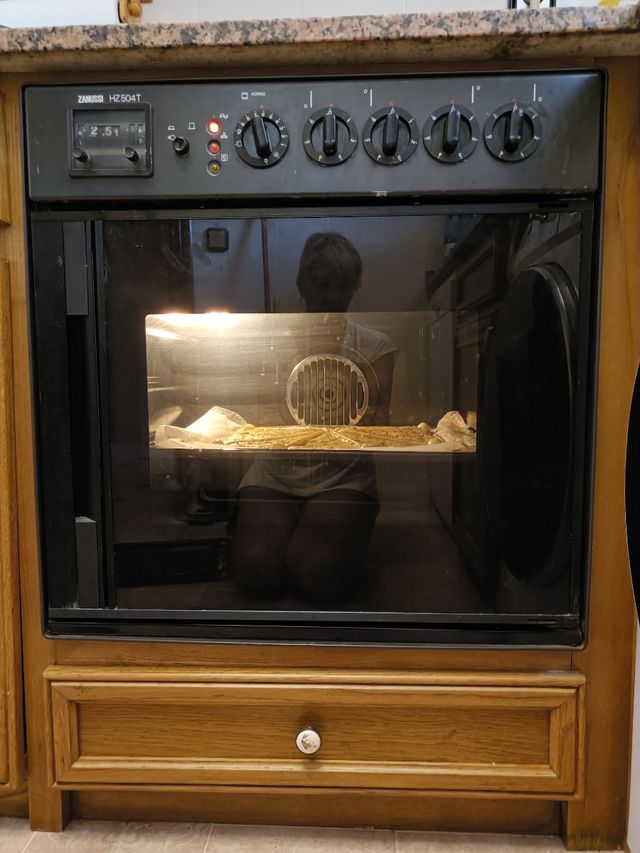 Horno Zanussi H2504T empotrable