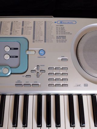 Casio WK-3000 Teclado