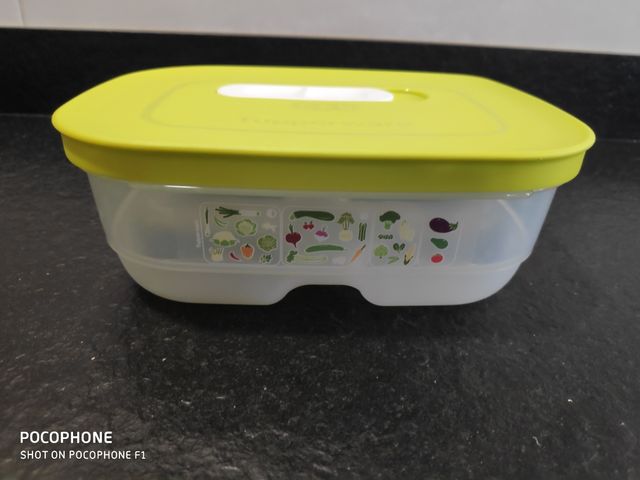 Recipiente Frigostmart (Tupperware)