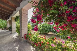 Casa rural en venta en Lora del Río