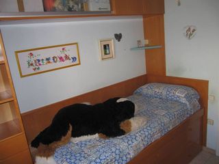 Casa adosada en venta en Ca n'Aurell en Terrassa