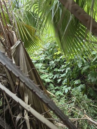 Casa en venta en Benigánim