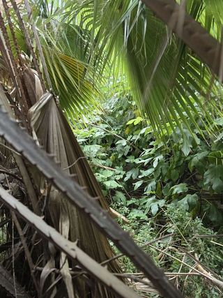 Casa en venta en Benigánim