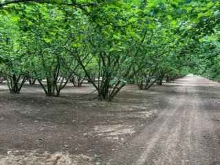 Terreno en venta en Selva del Camp, La