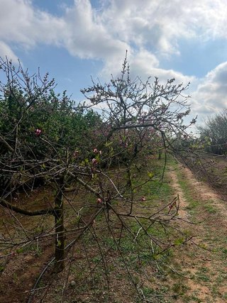 Terreno en venta en Selva del Camp, La
