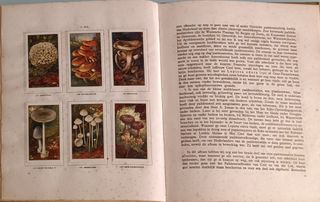 Álbumes de cromos holandeses antiguos 